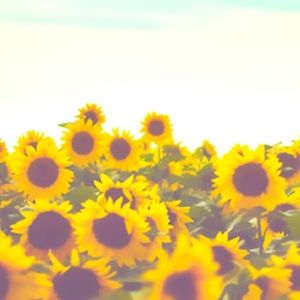 all prices are negotiable!